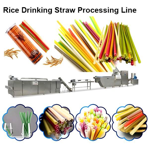 Ecological Drinking Straw Edible Straws Machine Biodegradable Straw Making Machine #1 image