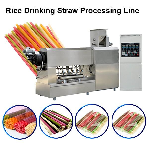 Edible Rice Straw Machine Extruder #1 image