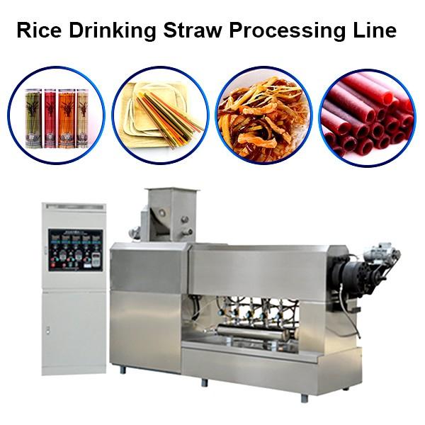 Fully Automatic Drink Straw Rice Flour Straw Making Pasta Noodle Making Machine #1 image