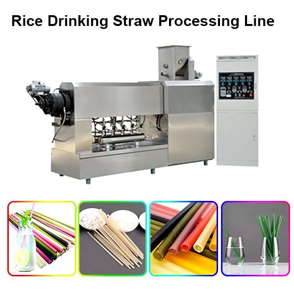 Rice Drinking Straw Making Extruder Machine / Sustainable Eco Friendly Products Processing ... #1 image