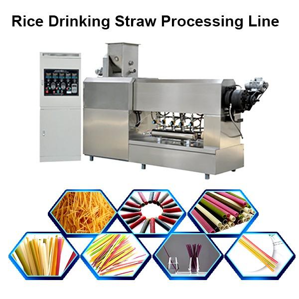 Edible Eco Friendly 100-150kg/H Best Quality Rice Making Drinking Straw Machine Pasta ... #1 image