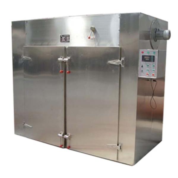 Automatic Complete After-Sales Electric Steam Belt Trays Banana Pineapple Pear Fruit Vegetable Dryer #1 image
