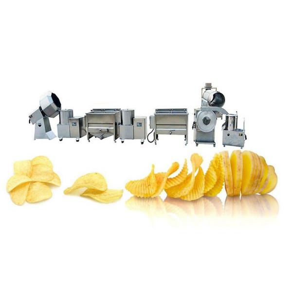Potato Chips Making Equipment Small Steam Heated Water Blanching Machine for Potatoes #1 image