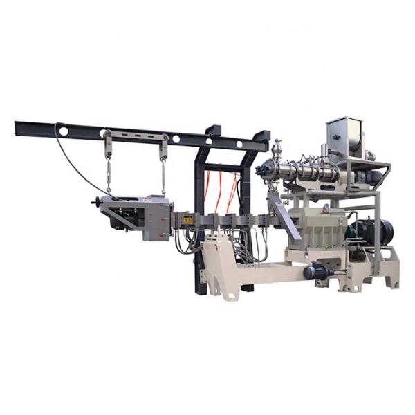 Dry Nutritional Dog Food Machine Pet Food Extrusion Machine Extruder Production Line #1 image