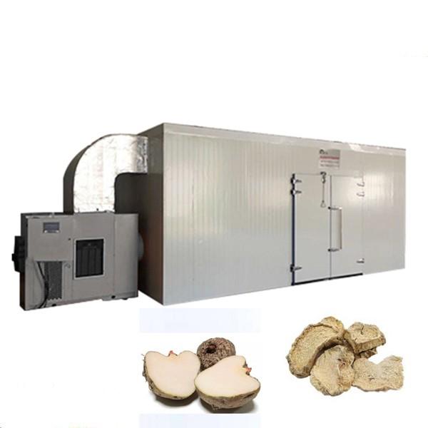 Electric Vegetable Dehydrator Food Dryer #1 image