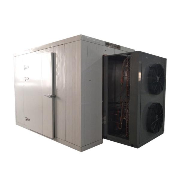 High Quality Fruit and Vegetable Dehydration and Drying Machines #1 image