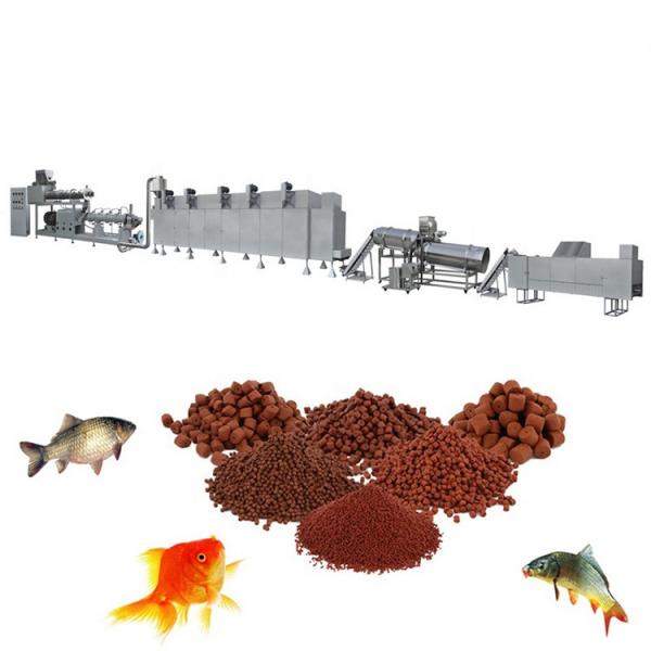 China Top Quality Machine Sinking and Floating Fish and Dog Food Extruder #1 image
